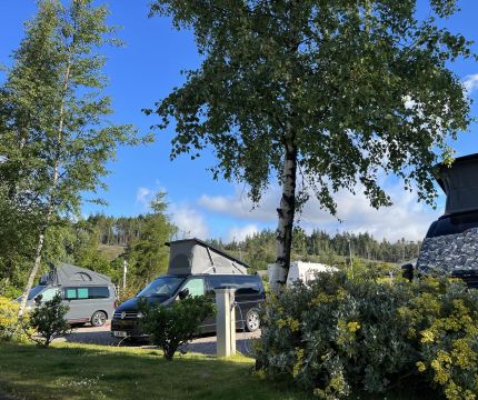 Motorhome 4