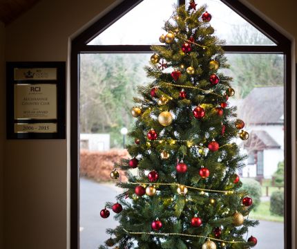 Christmas6