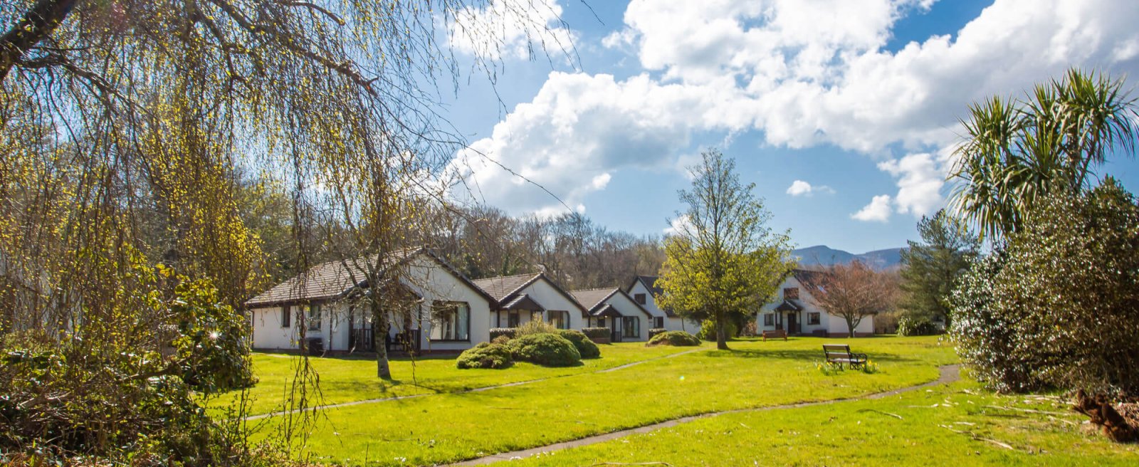 Luxury Lodges